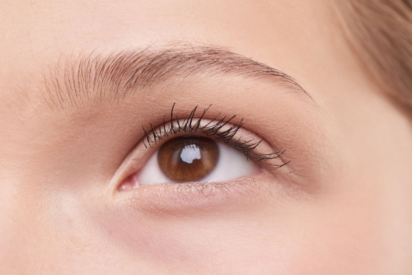 Natural microbladed eyebrow result, close-up