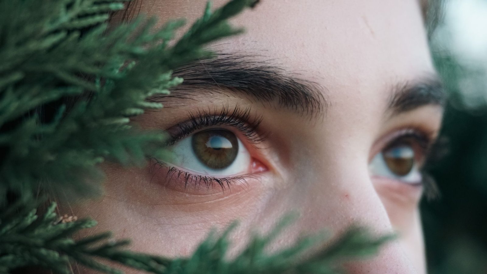 Natural microbladed eyebrow result, close-up