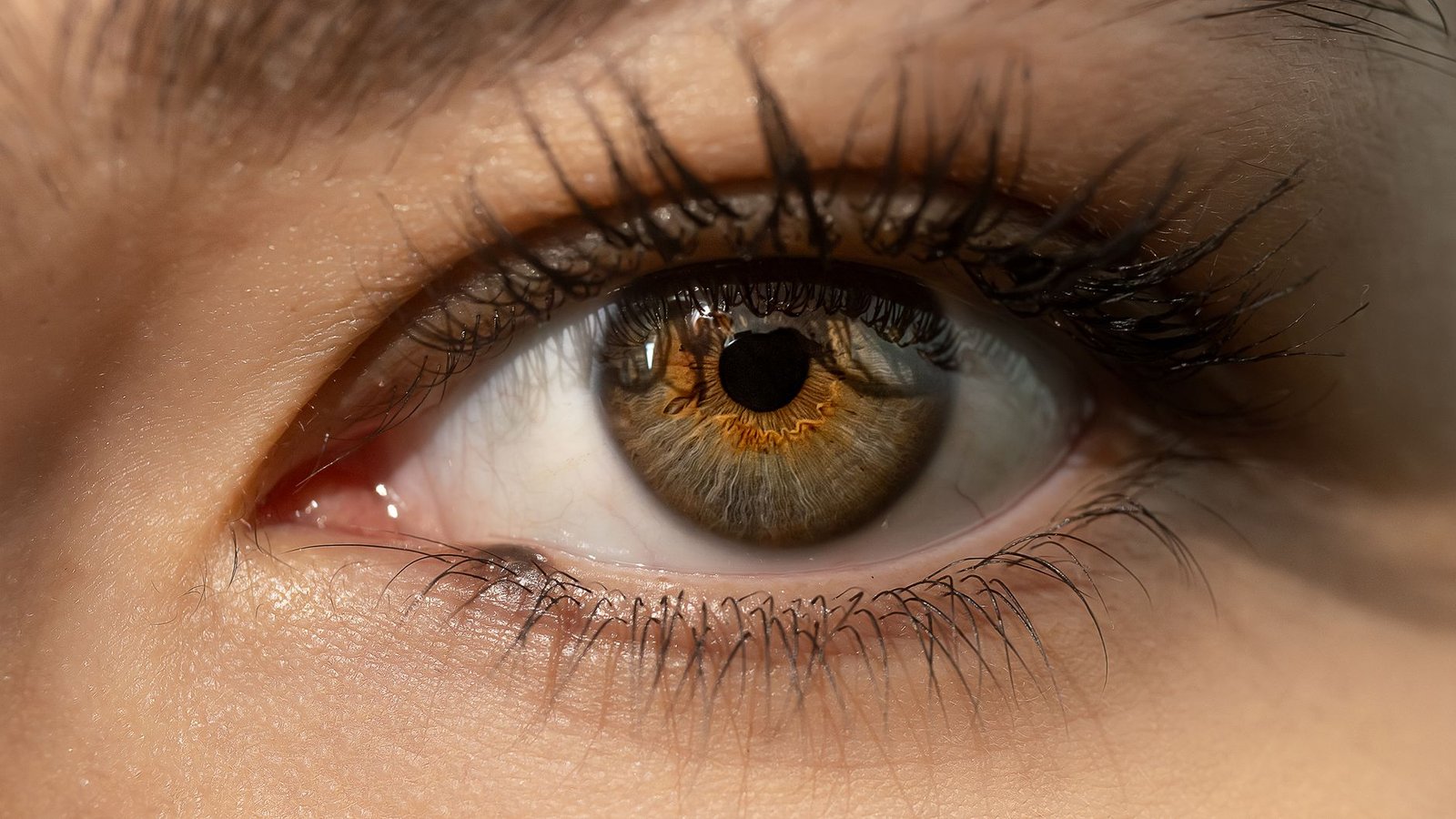 Natural microbladed eyebrow result, close-up